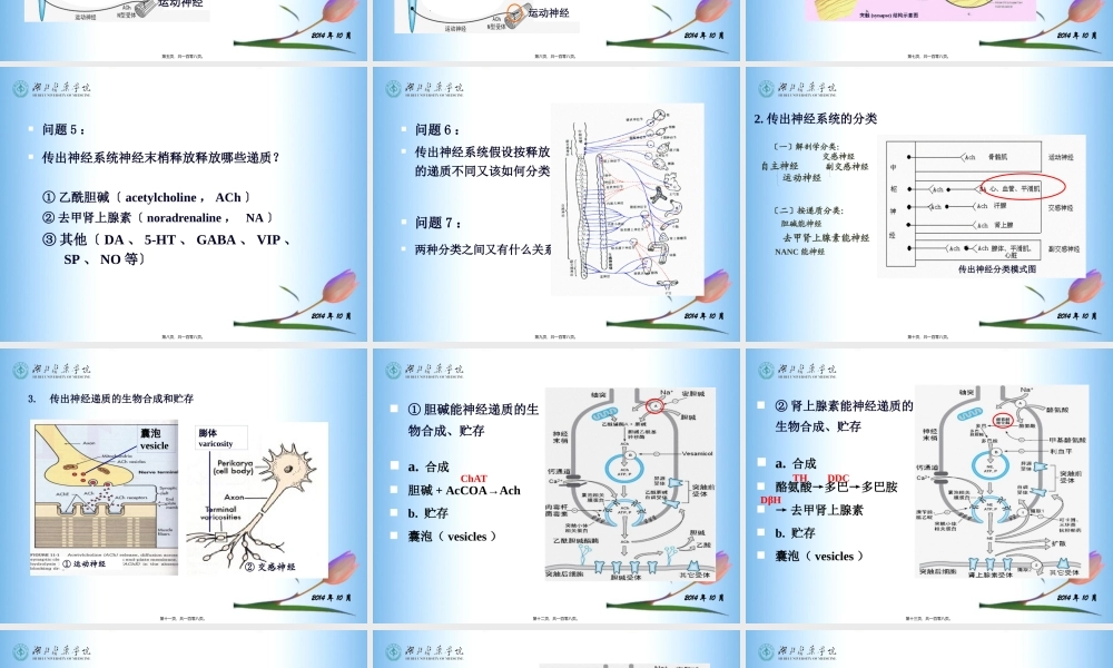 传出神经系统药理(5-7章).pptx
