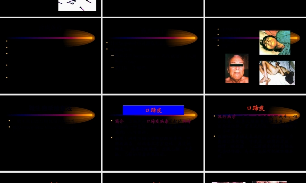动物检疫学3.2多种家畜共患病.pptx