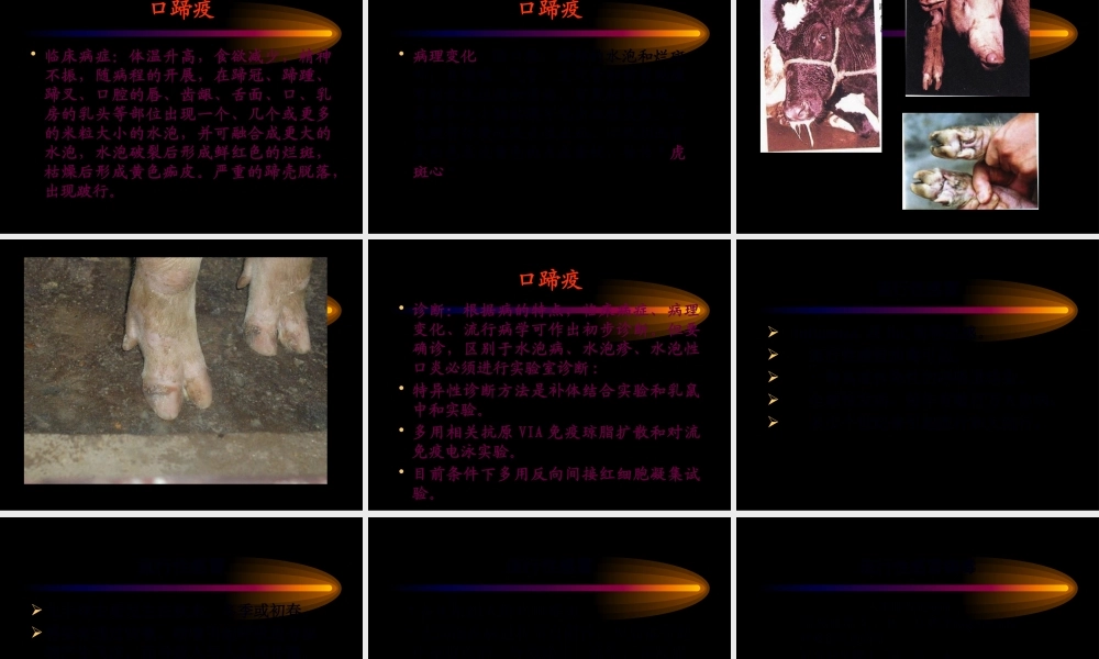 动物检疫学3.2多种家畜共患病.pptx