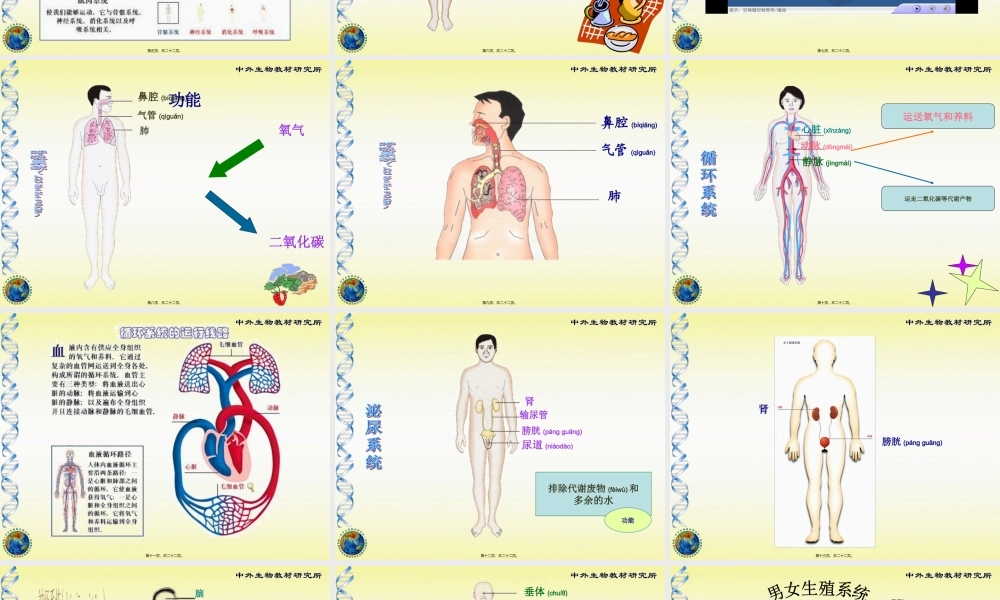 2022年医学专题—-3人体概述(1).ppt