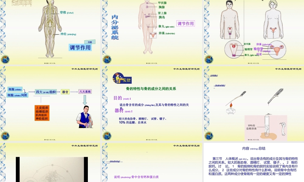 2022年医学专题—-3人体概述(1).ppt