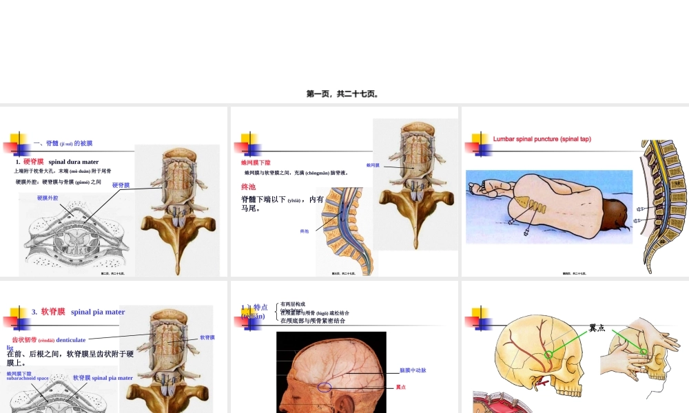 2022年医学专题—-脑和脊髓的被膜、血管及脑脊液(1).ppt