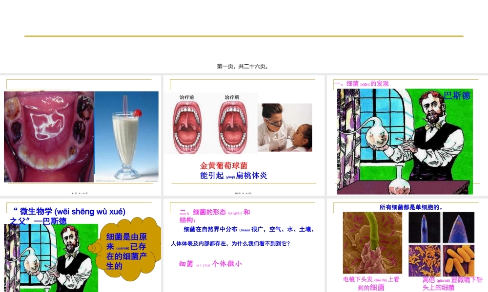 2022年医学专题—.2细菌PPT(1).ppt