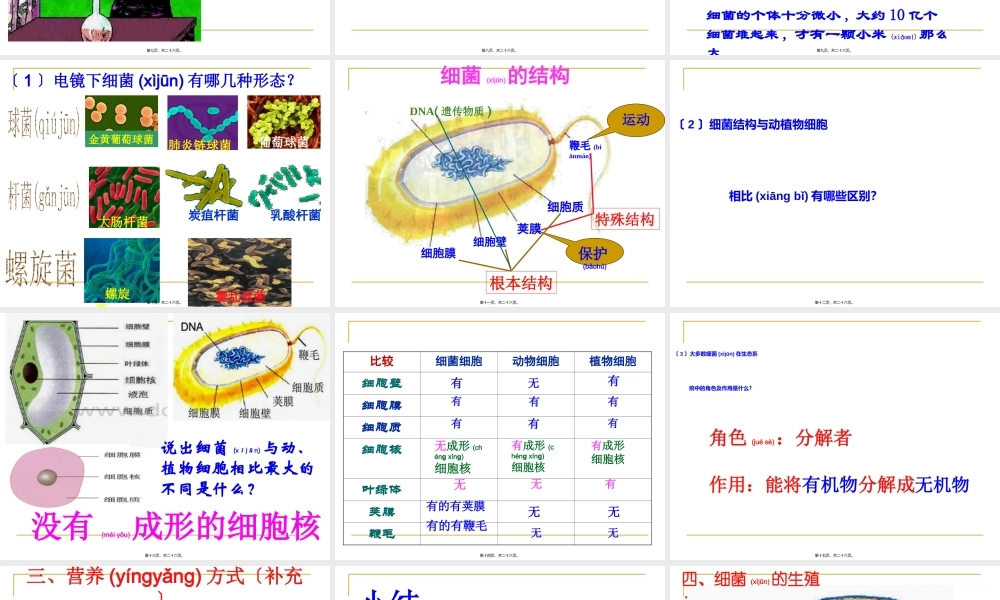 2022年医学专题—.2细菌PPT(1).ppt