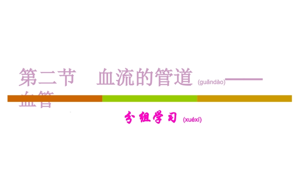 2022年医学专题—.4.2血流的管道——血管(1).ppt