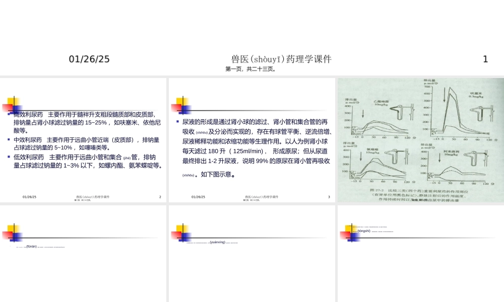 2023年医学专题—.第七章--利尿药及脱水药(1).ppt