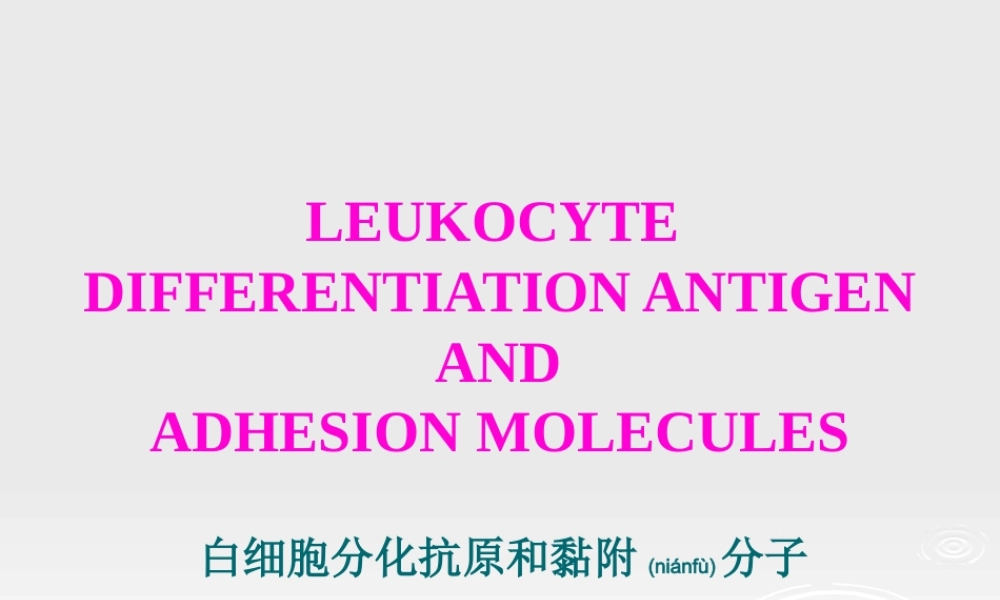 2023年医学专题—.白细胞分化抗原和粘附因子(1).ppt