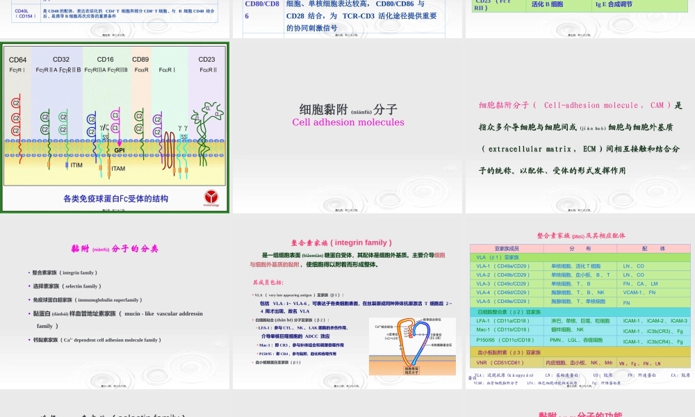 2023年医学专题—.白细胞分化抗原和粘附因子(1).ppt