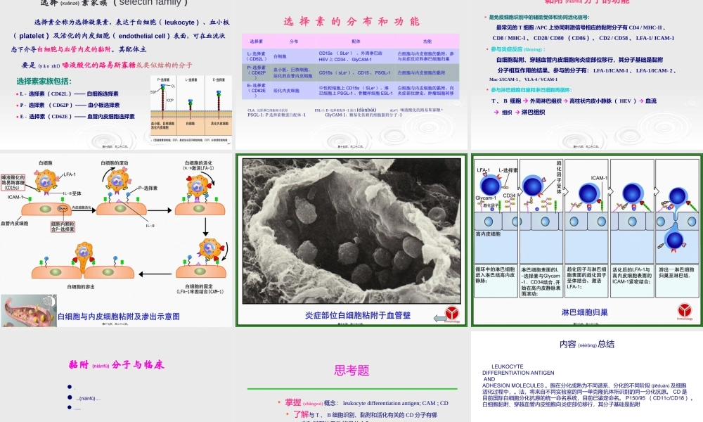 2023年医学专题—.白细胞分化抗原和粘附因子(1).ppt