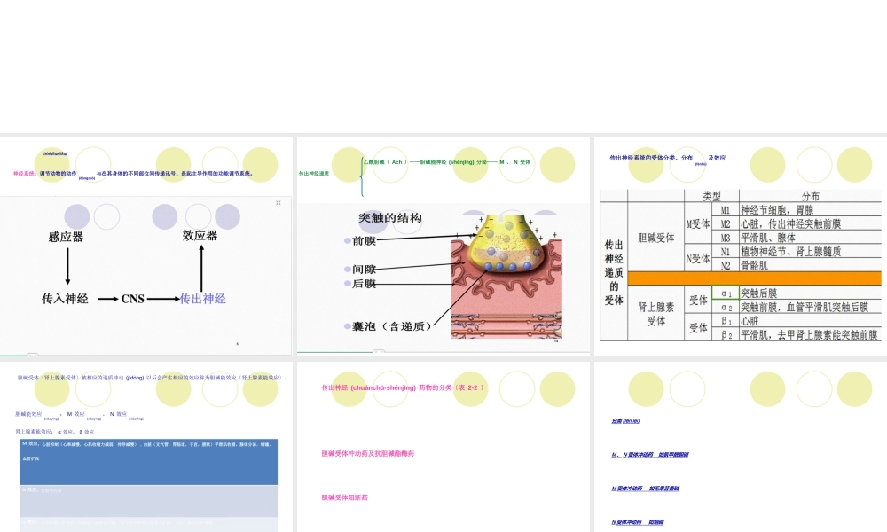 2023年医学专题—4传出神经系统药(1).ppt