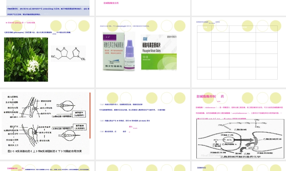 2023年医学专题—4传出神经系统药(1).ppt