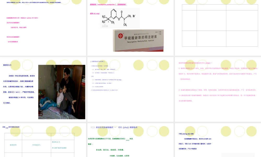 2023年医学专题—4传出神经系统药(1).ppt