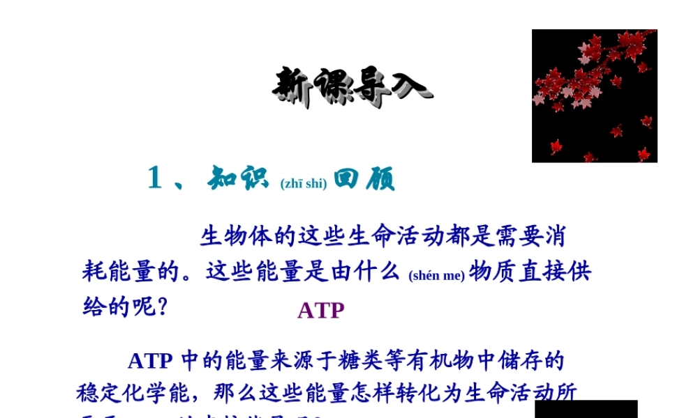 2022年医学专题—ATP的主要来源——细胞呼吸-(共69张ppt)(1).ppt