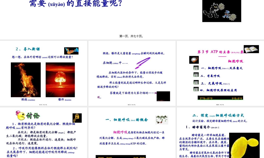 2022年医学专题—ATP的主要来源——细胞呼吸-(共69张ppt)(1).ppt