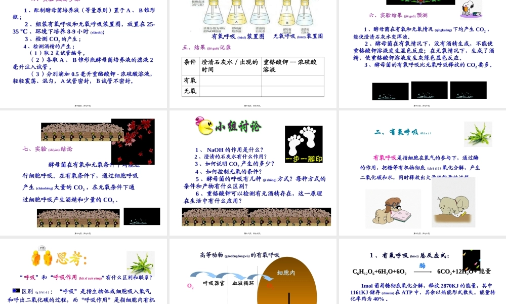 2022年医学专题—ATP的主要来源——细胞呼吸-(共69张ppt)(1).ppt