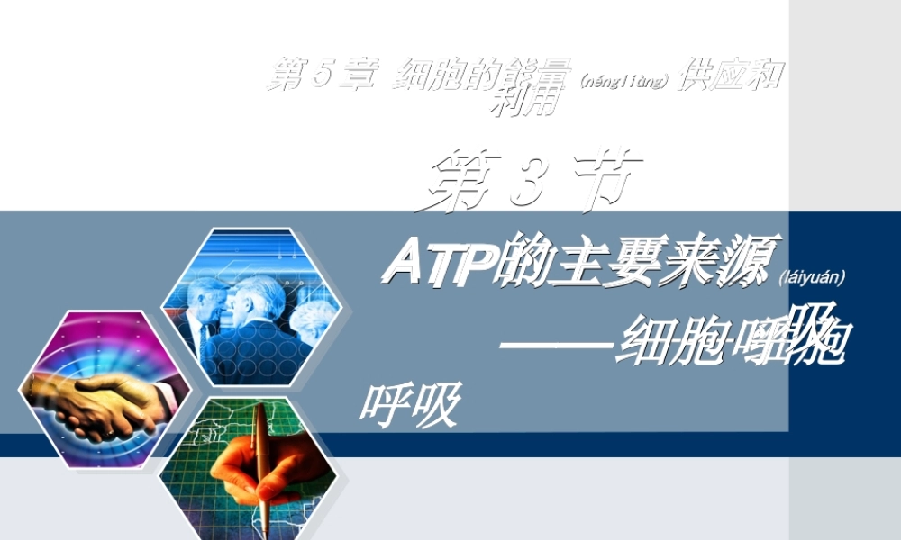 2022年医学专题—ATP的主要来源——细胞呼吸一轮复习(1).ppt