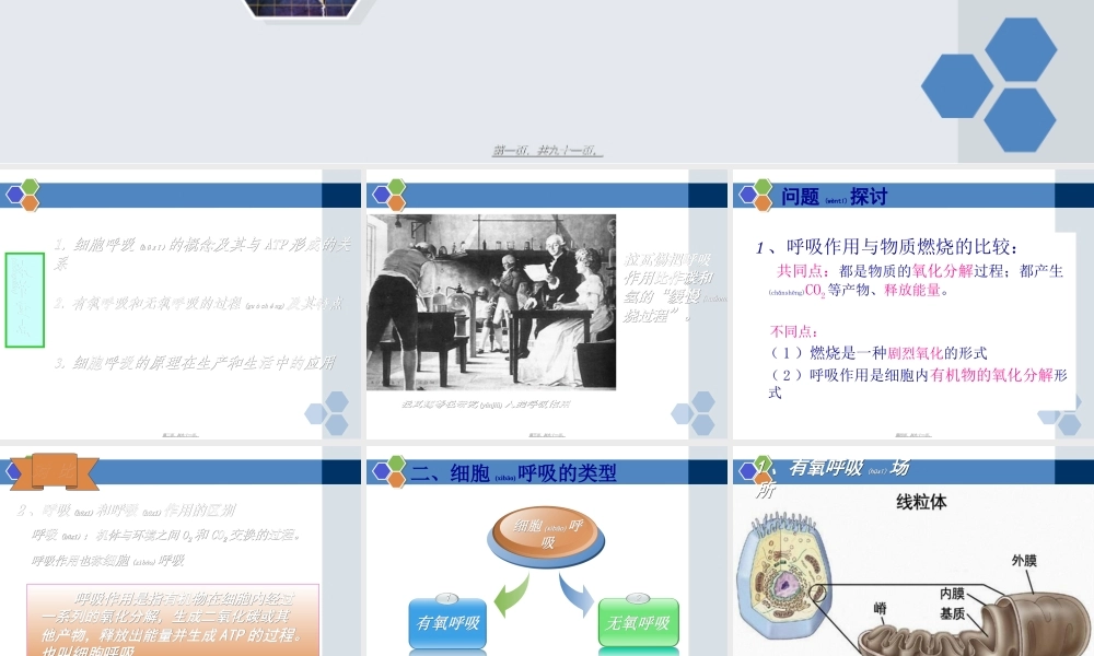 2022年医学专题—ATP的主要来源——细胞呼吸一轮复习(1).ppt