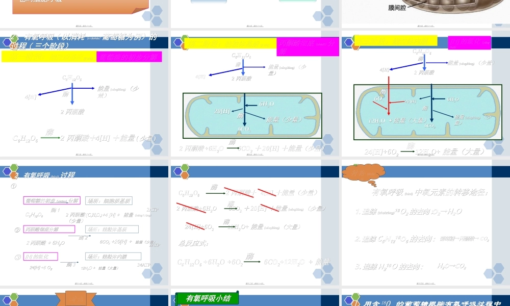 2022年医学专题—ATP的主要来源——细胞呼吸一轮复习(1).ppt