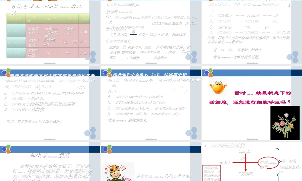 2022年医学专题—ATP的主要来源——细胞呼吸一轮复习(1).ppt