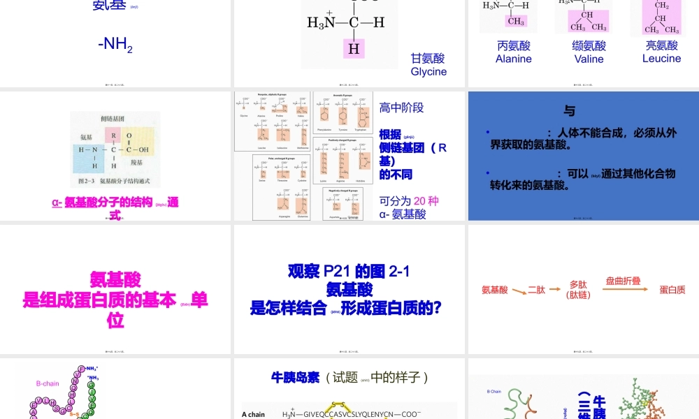 2022年医学专题—c2-s1-p0-蛋白质1(1).pptx