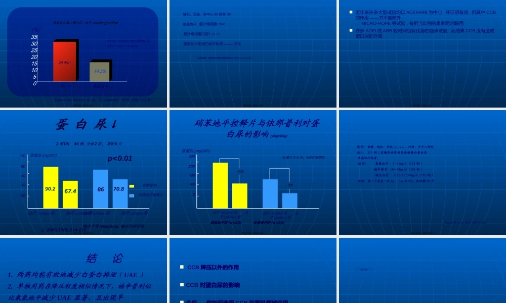 2022年医学专题—CCB与蛋白尿(1).ppt