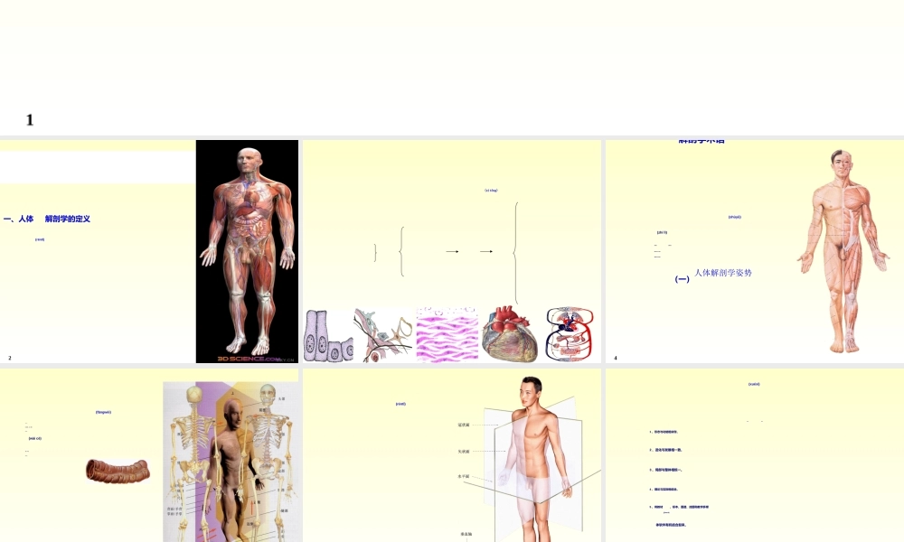 2022年医学专题—chapter01骨学(1).ppt
