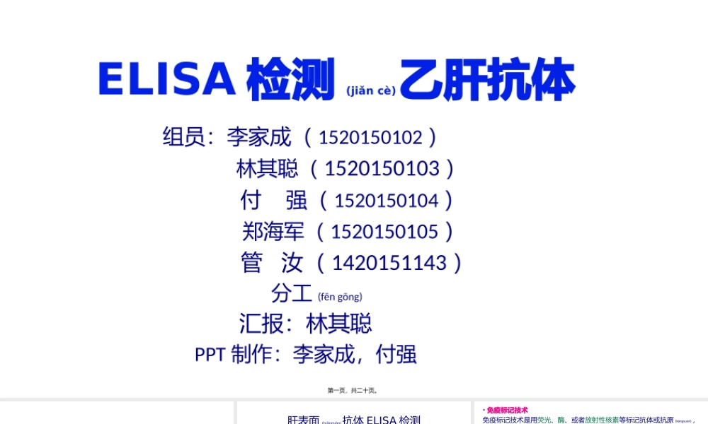 2022年医学专题—ELISA检测乙肝抗体(1).pptx