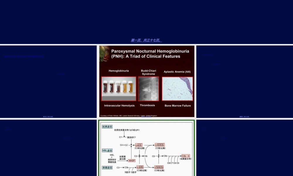 2022年医学专题—PNH-阵发性睡眠性血红蛋白尿的流式细胞术检测解读(1).ppt