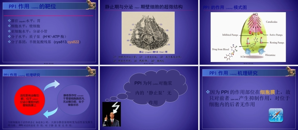 2022年医学专题—PPI的合理应用-药学部(1).ppt