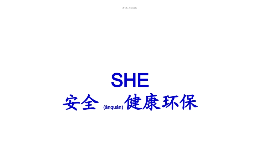 2022年医学专题—SHE(安全、健康、环保)剖析(1).ppt