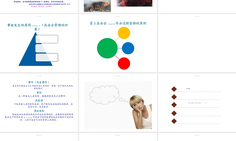 2022年医学专题—SHE(安全、健康、环保)剖析(1).ppt