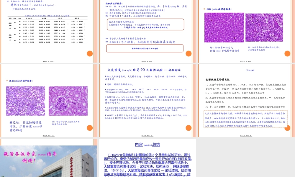 2022年医学专题—TJ1528大鼠静脉重复给药90天毒性试验-胡金芳(1).ppt