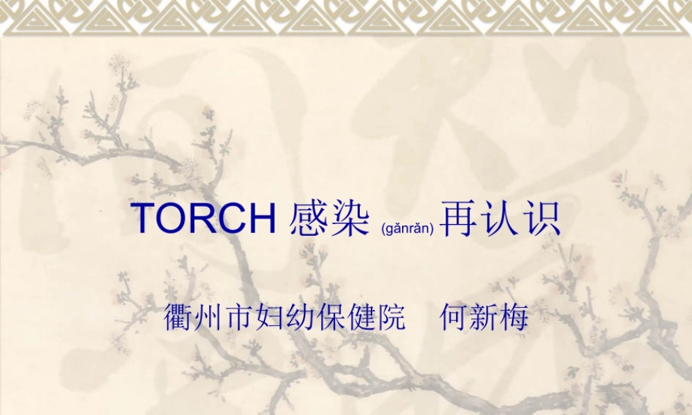 2022年医学专题—TORCH感染再认识(1).ppt