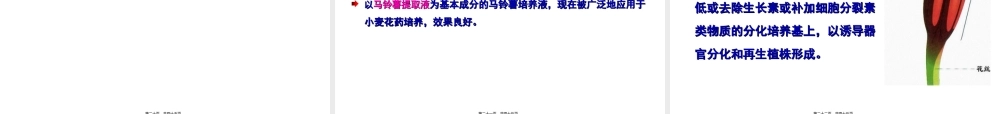 2022年医学专题—◆第12章-花药培养和花粉培养(1).ppt
