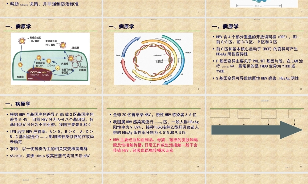 2022年医学专题—《慢性乙型肝炎防治指南》解读(1).ppt