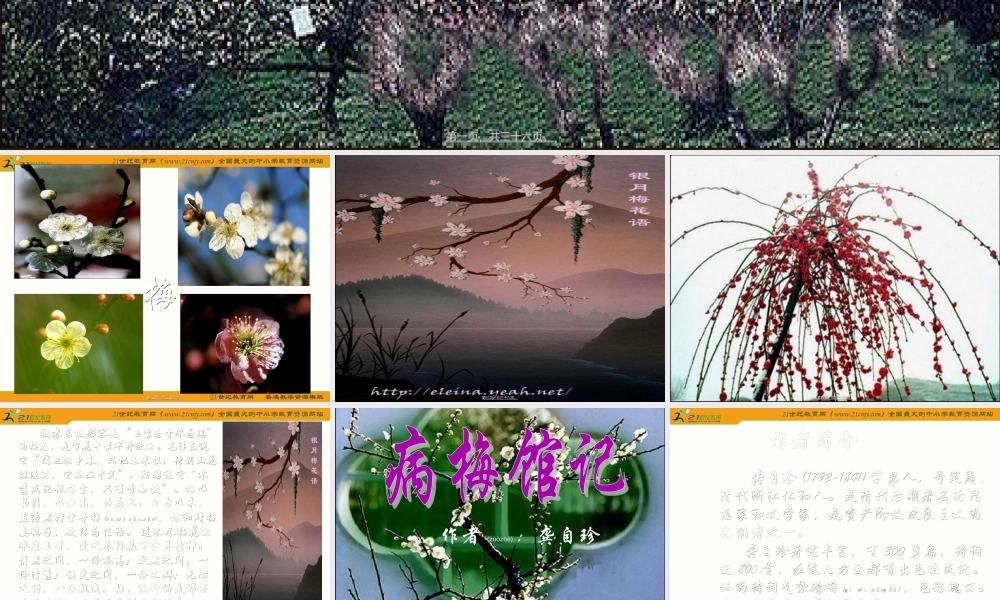 2022年医学专题—《病梅馆记》ppt(1).ppt