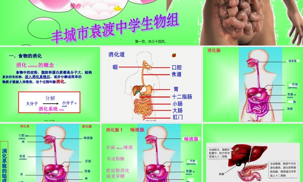 2022年医学专题—【复习】合理膳食平衡营养ppt(1).ppt