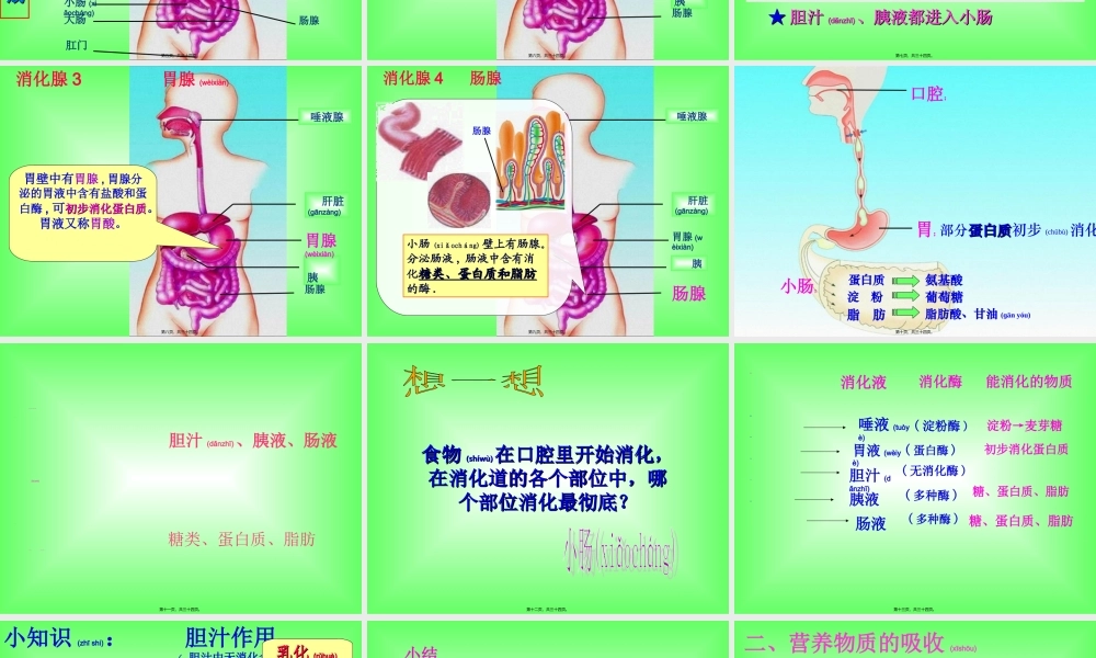 2022年医学专题—【复习】合理膳食平衡营养ppt(1).ppt