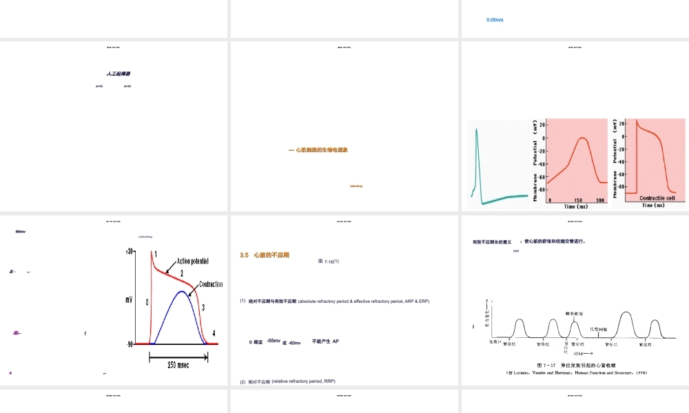 2022年医学专题—七章血液循环-PPT文档(1).ppt