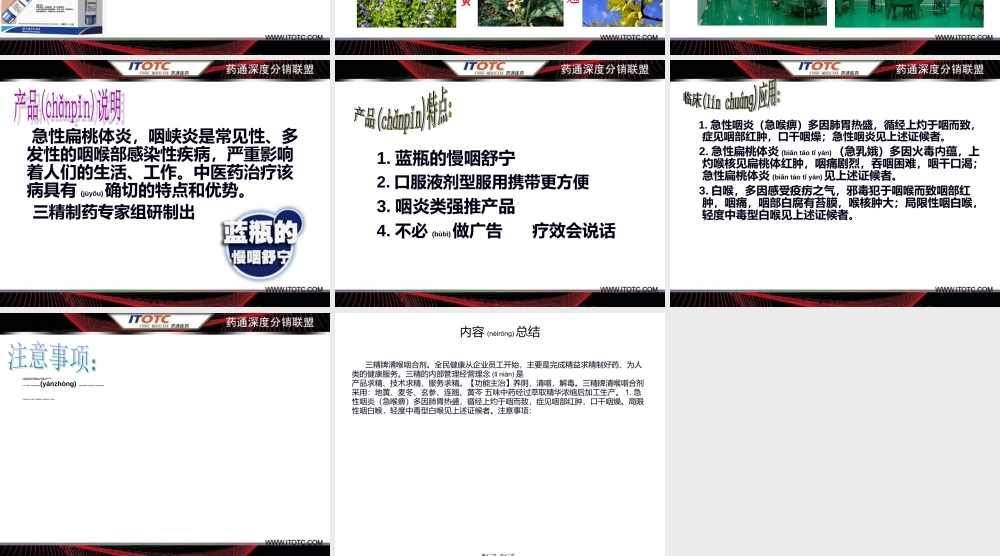 2022年医学专题—三精牌清喉咽合剂(1).ppt