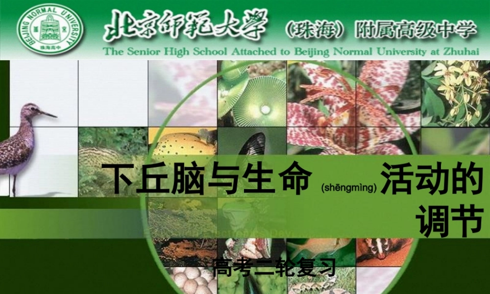 2022年医学专题—下丘脑与生命活动的调节(1).ppt