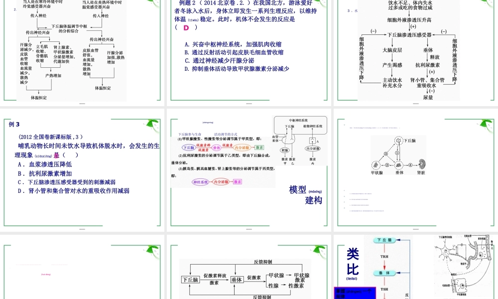 2022年医学专题—下丘脑与生命活动的调节(1).ppt