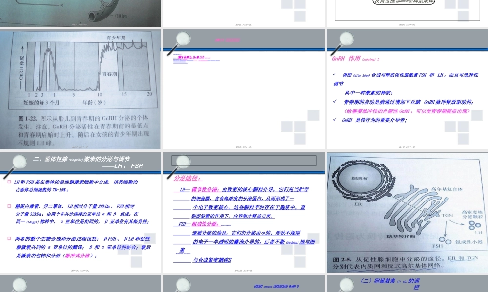 2022年医学专题—下丘脑垂体性腺轴与生殖调节(1).ppt