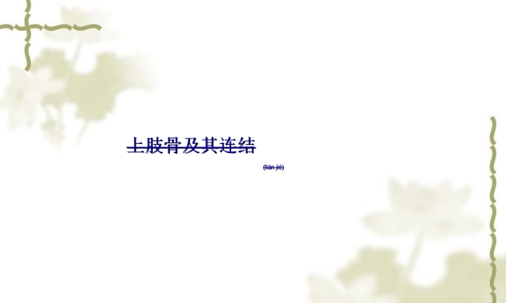 2022年医学专题—上肢骨及其连结、下肢骨及其连结2(1).ppt