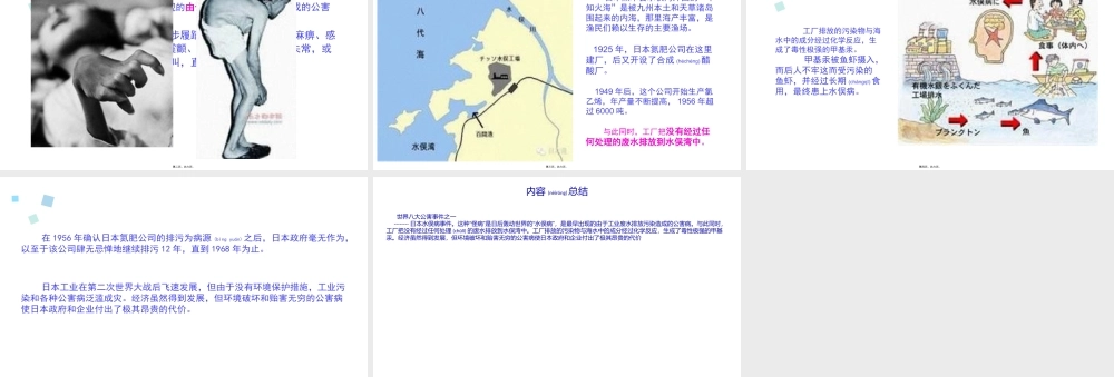 2022年医学专题—世界八大公害事件之一——水俣病(1).pptx