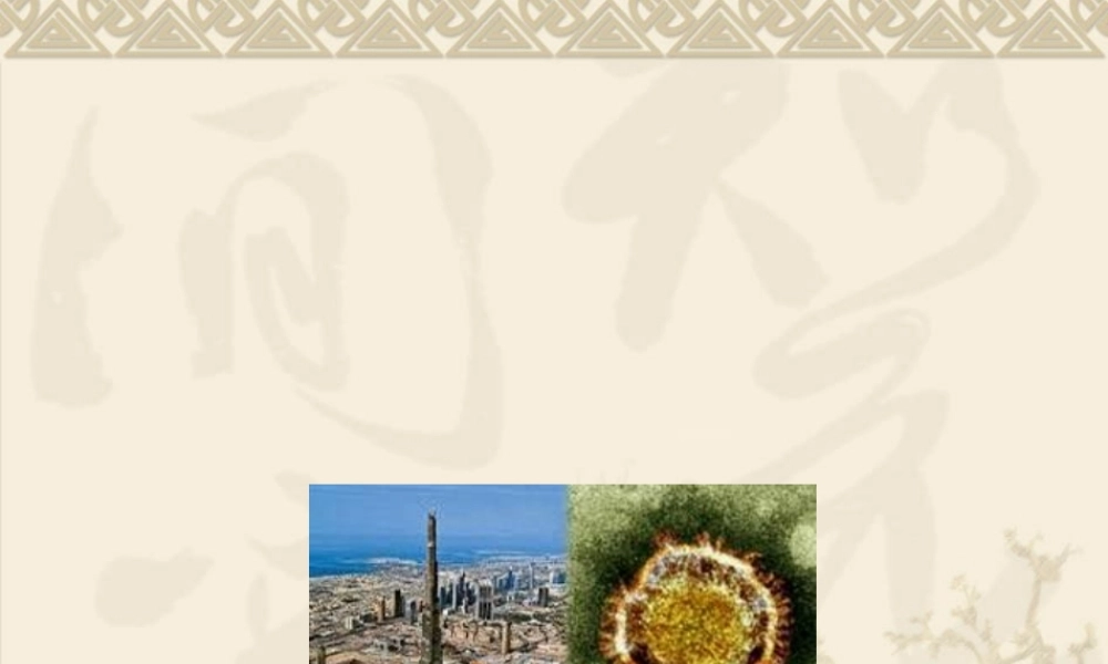 2022年医学专题—中东呼吸综合征(1).ppt