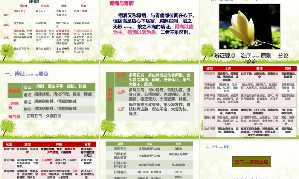 2022年医学专题—中成药.胃痛(1).ppt