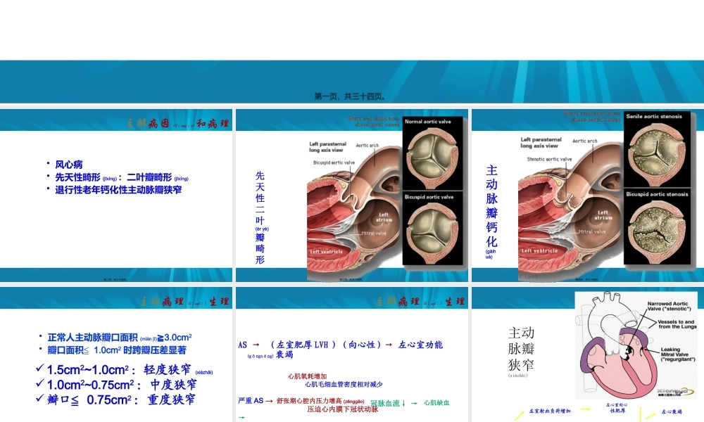 2022年医学专题—主动脉瓣+肺动脉瓣(1).pptx