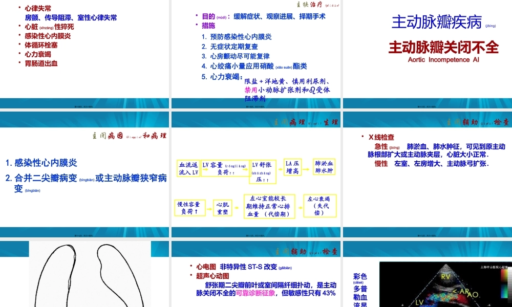 2022年医学专题—主动脉瓣+肺动脉瓣(1).pptx