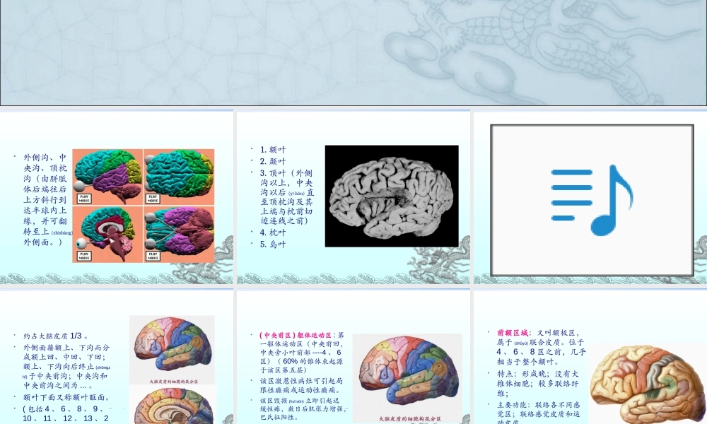 2022年医学专题—主要脑区的结构(1).ppt